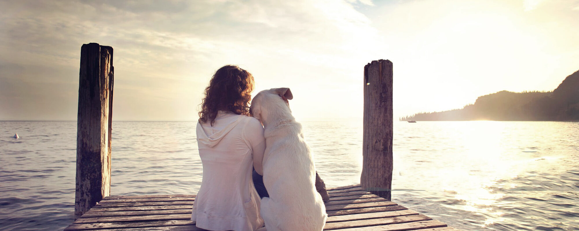 dog rests gently on his master's shoulder while looking the view